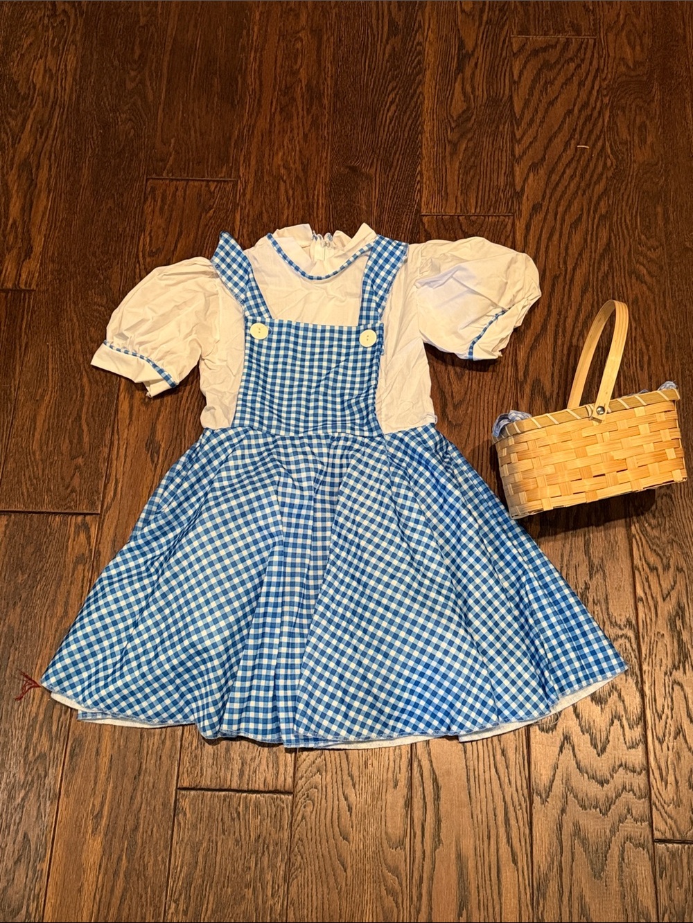 Rubie's Blue Gingham Pinafore Dress Costume with White Blouse